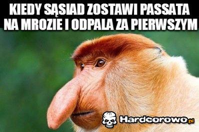 Passat - 1