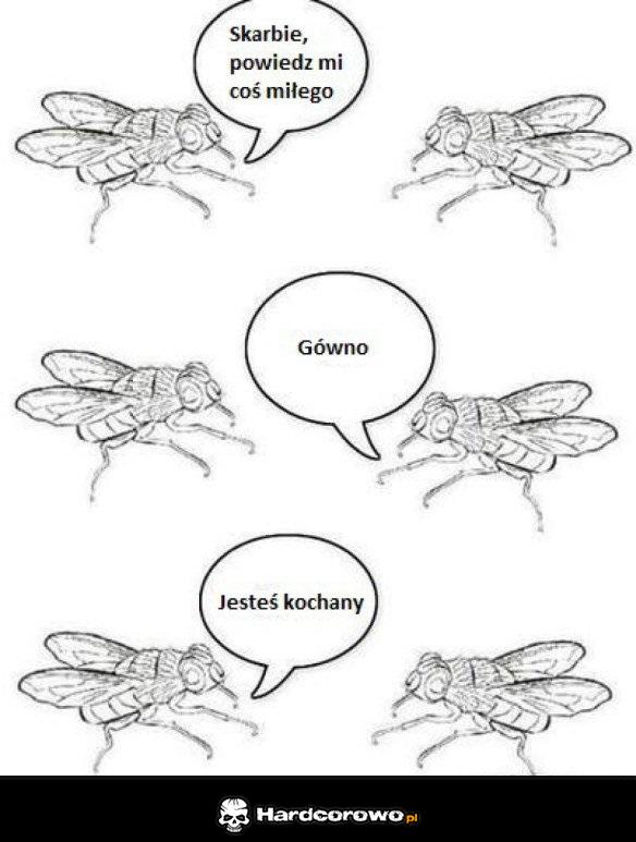Muchy - 1
