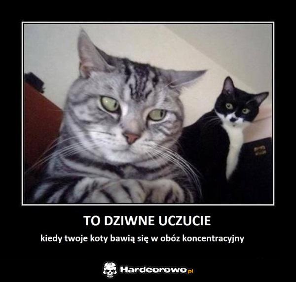 To dziwne uczucie  - 1