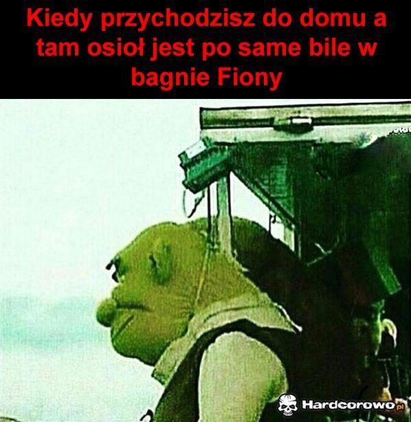 Shrek  - 1
