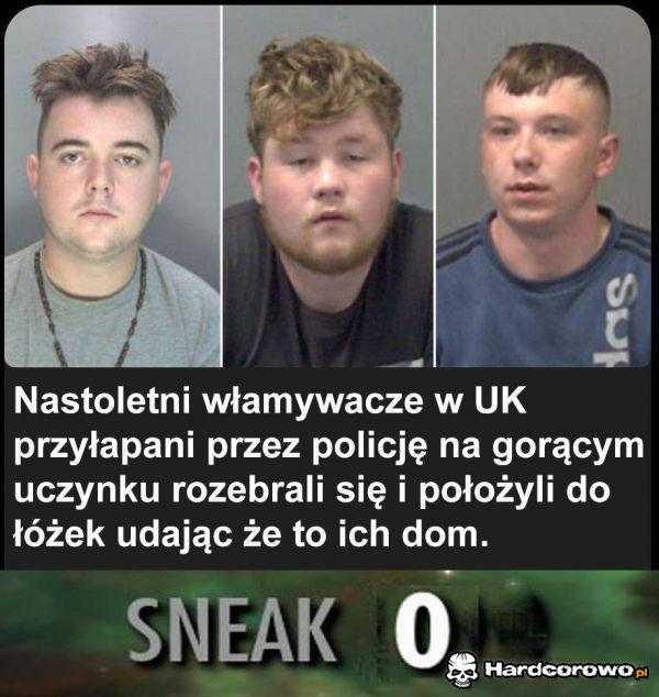 Nastoletni włamywacze  - 1