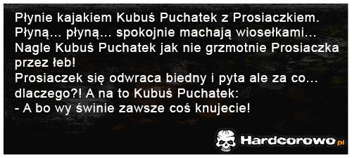 Płynie kajakiem Kubuś Puchatek - 1