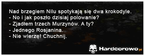 Nad brzegiem Nilu spotykają się dwa krokodyle - 1