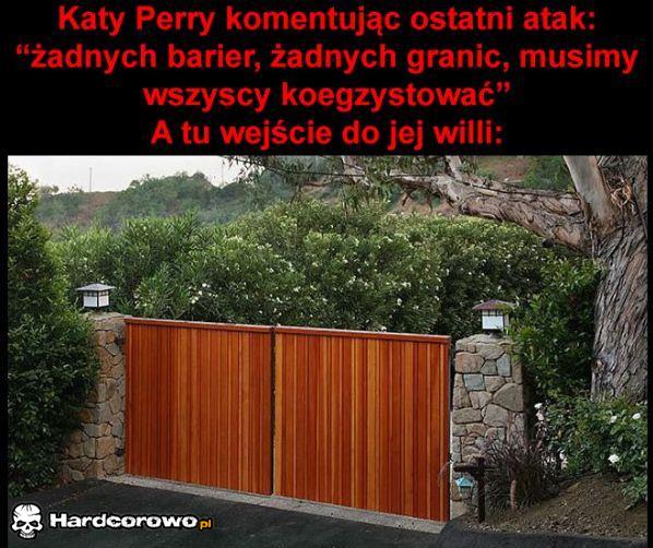 Kat Perry - 1