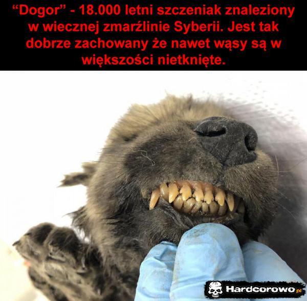  - 1