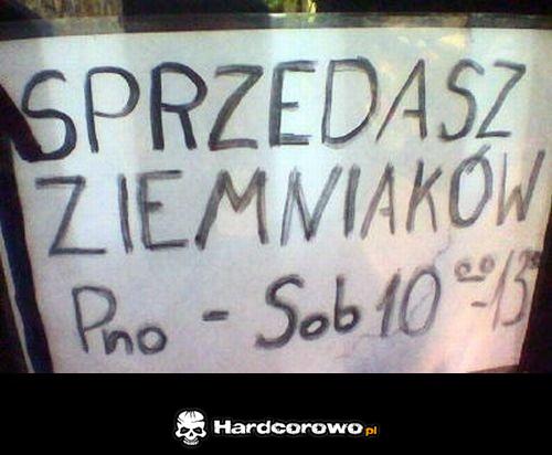 Sprzedasz ziemniaków  - 1