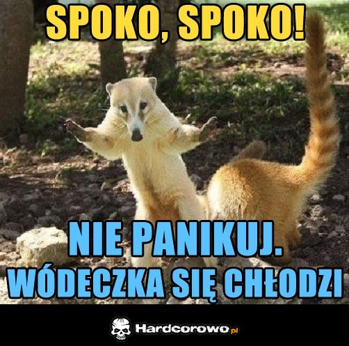Spoko spoko - 1