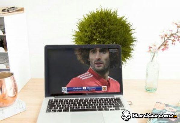 Afro - 1