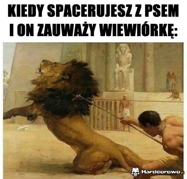 Z psem na spacerze - 1