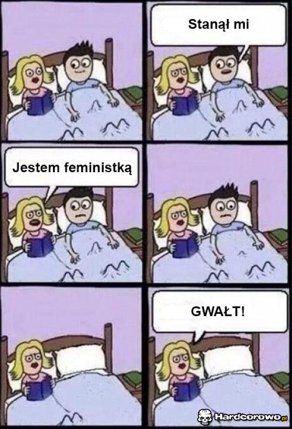 Feministka - 1