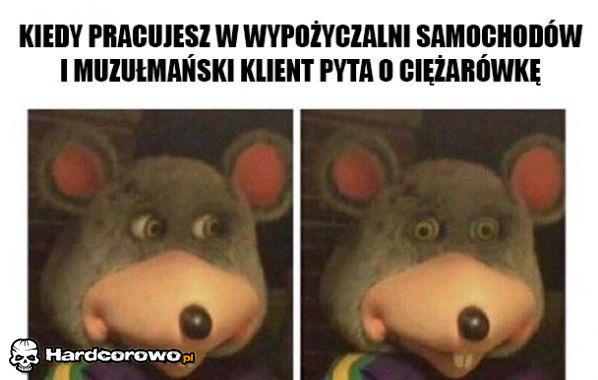 Wypożyczalnia samochodów - 1