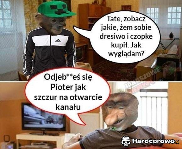 Ojciec podsumował synka - 1
