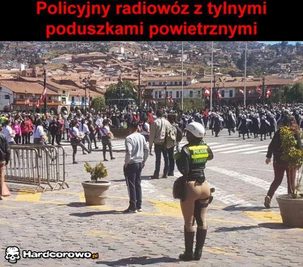 Policyjny radiowóz - 1