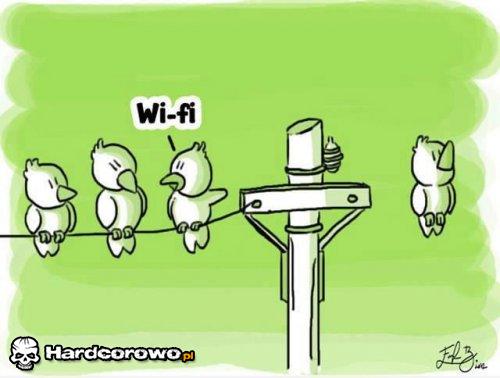 WiFi? - 1