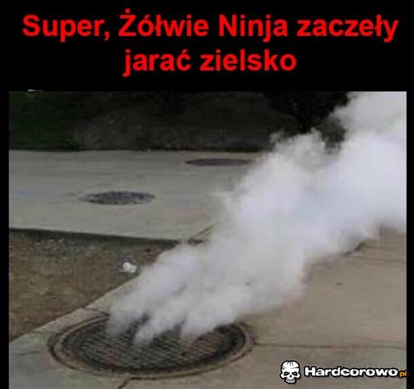 Żółwie Ninja - 1