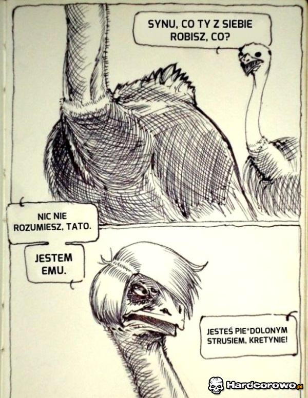 Emu - 1