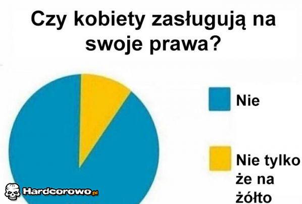 Czy kobiety zasługują na swoje prawa? - 1