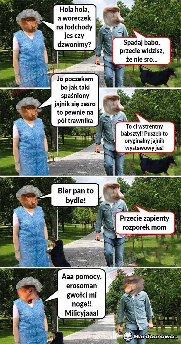 Janusz wyprowadza Burka na spacer - 1