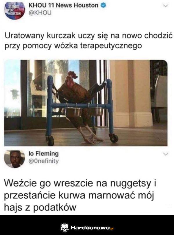 Uratowany kurczak - 1