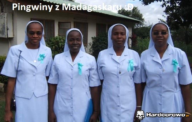 Pingwiny z Madagaskaru - 1