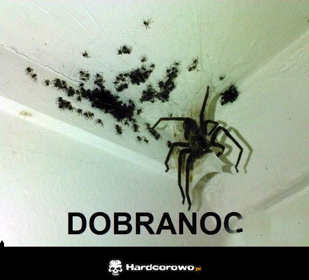 Dobranoc  - 1