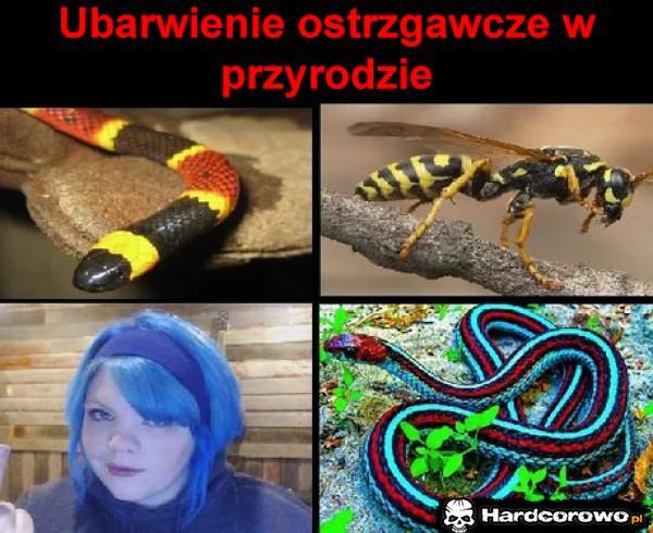  - 1