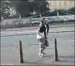 Chop po słupkach - 1