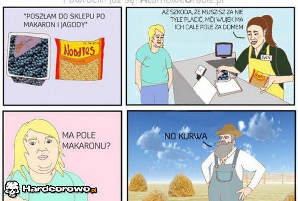 Pole makaronu - 1