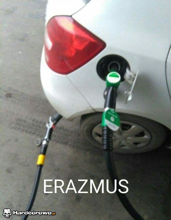 Erazmus  - 1