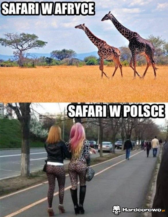 Polskie safarii - 1