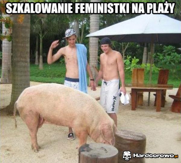 Feministka - 1
