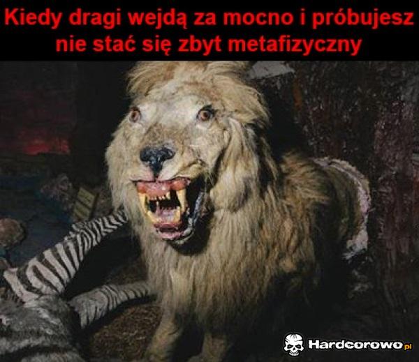 Kiedy dragi wejdą - 1