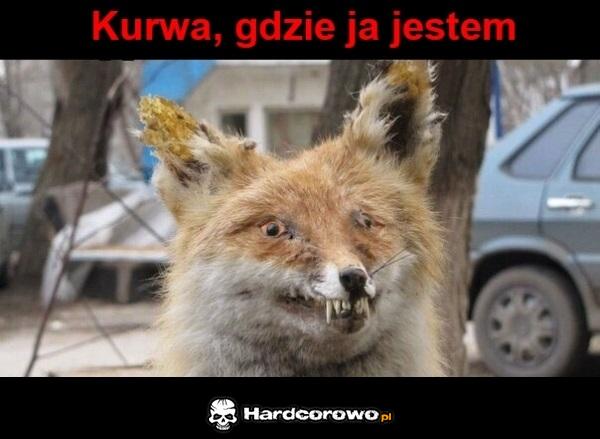 Po ostrym melanżu - 1