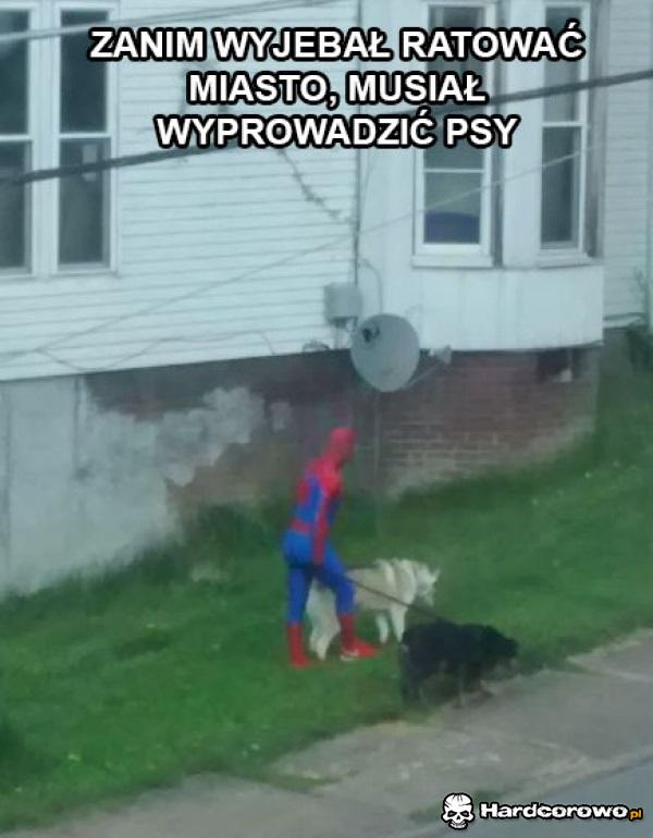 Spoderman - 1