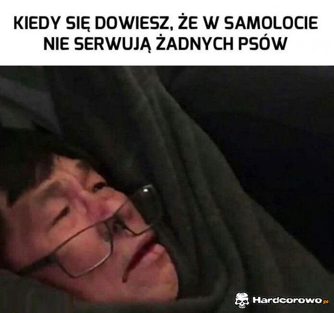 Kiedy dowiesz się, że w samolocie nie serwują żadnych psów - 1