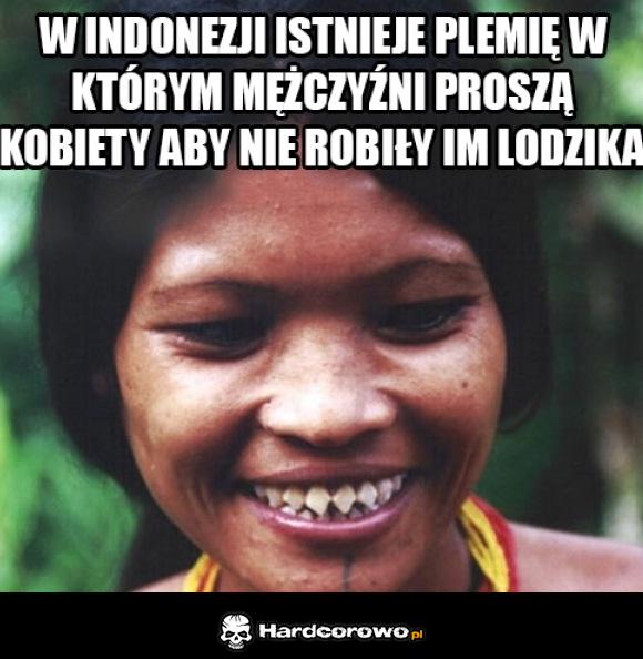 Plemię lodzika - 1