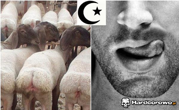 Islam - 1