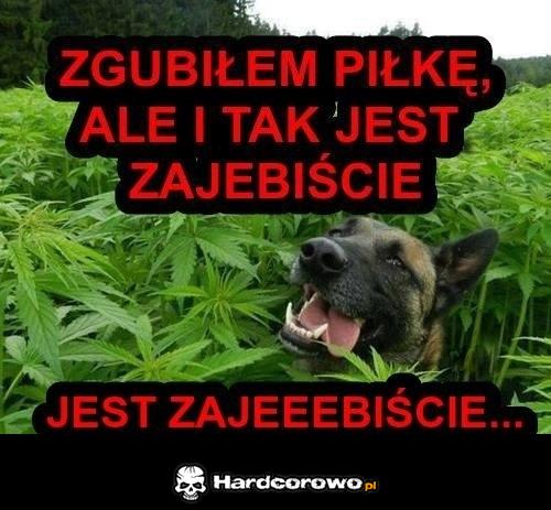 Zgubiłem piłkę - 1