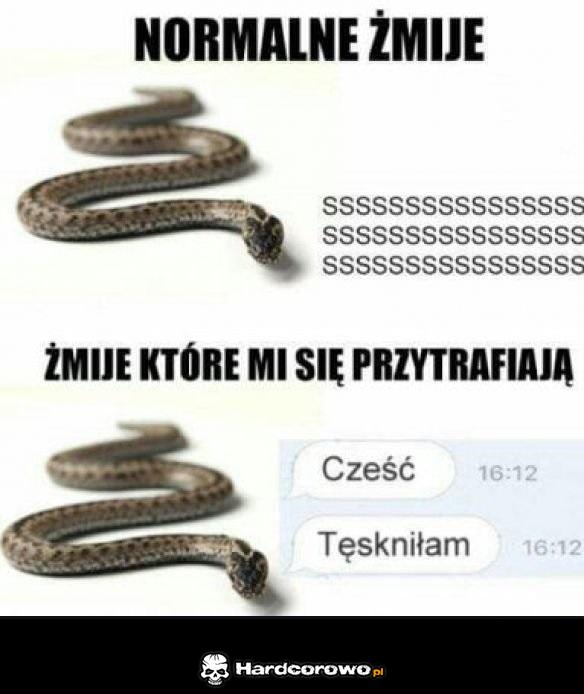 Żmije w życiu - 1