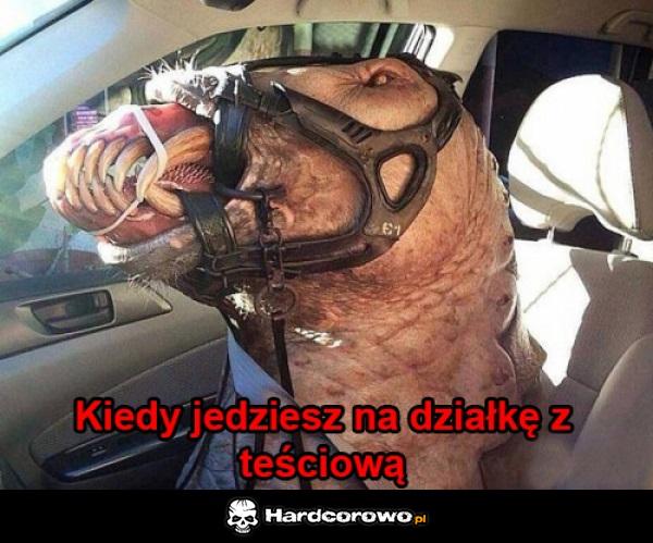 Jedziemy - 1