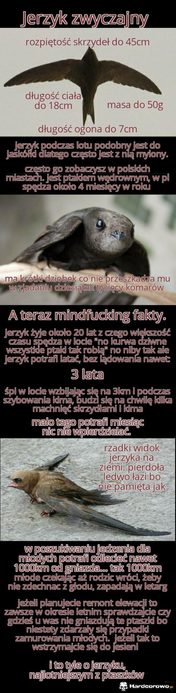  - 1