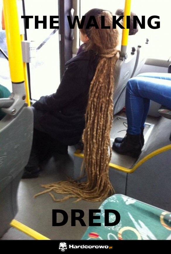 Dredy - 1