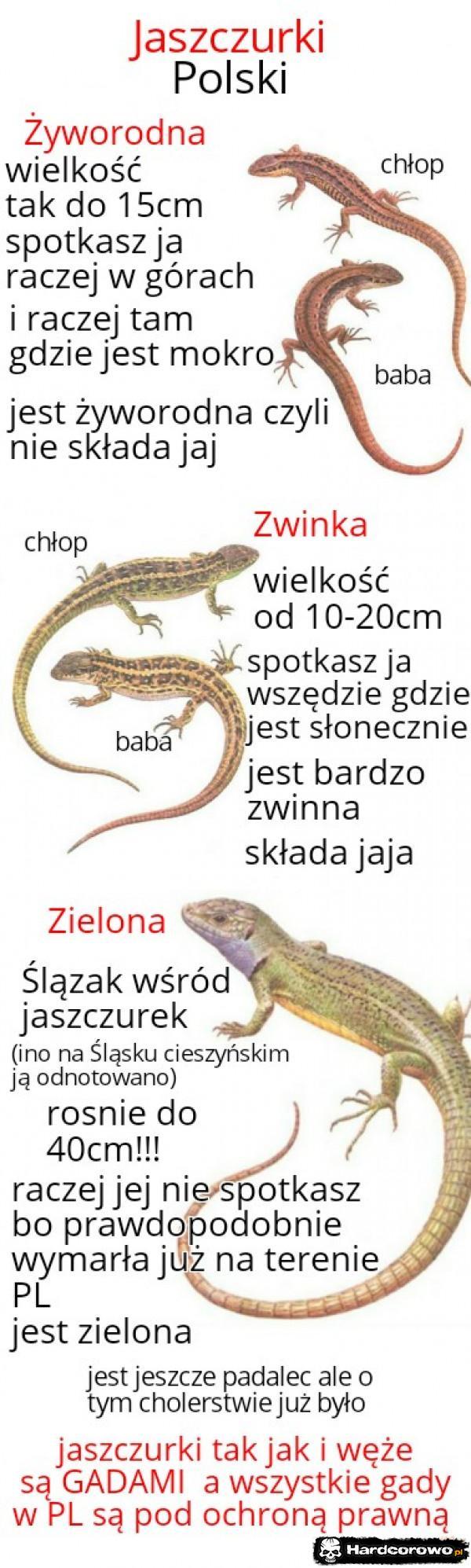  - 1