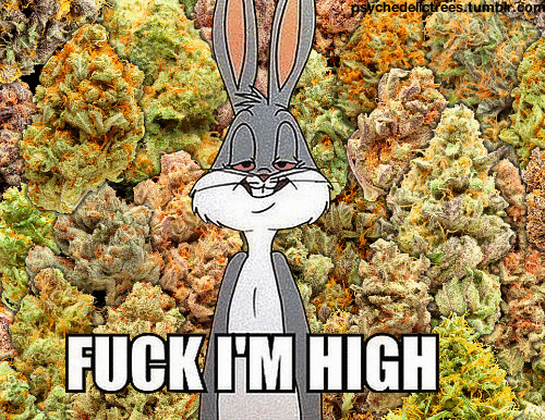Fuck I'm high - 1