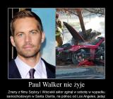 Paul Walker nie żyje