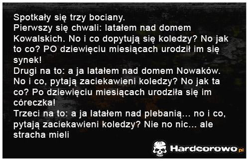 Spotkały się trzy bociany - 1