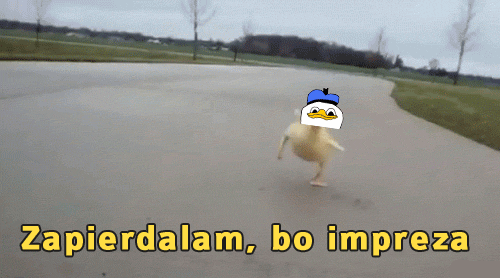 Impreza - 1