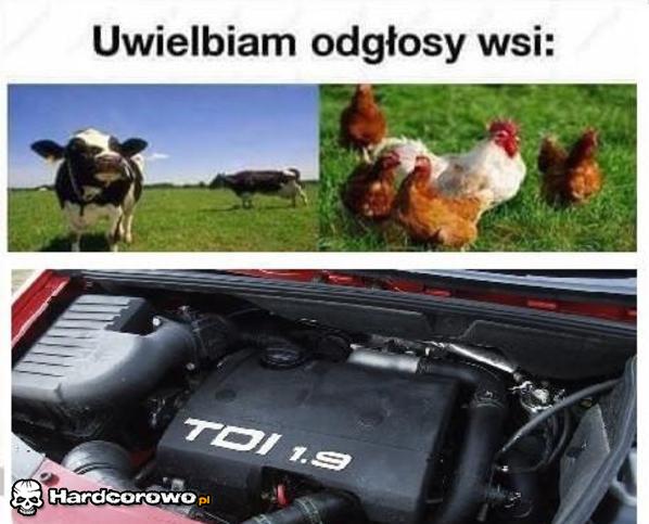 Odgłosy wsi  - 1