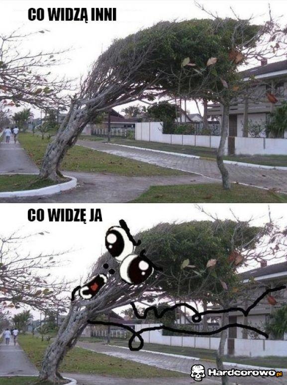 Co widzą inni - 1