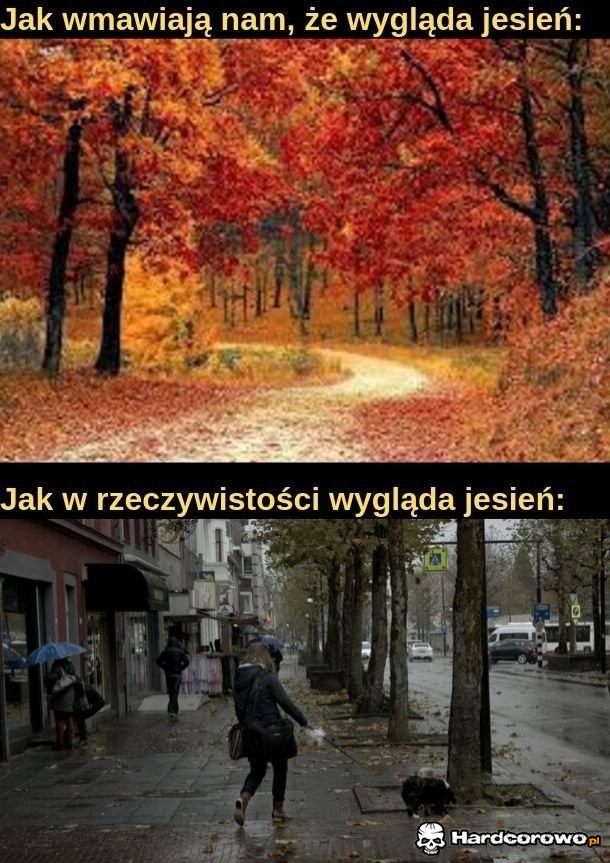 Kolory jesieni to szary i bury - 1